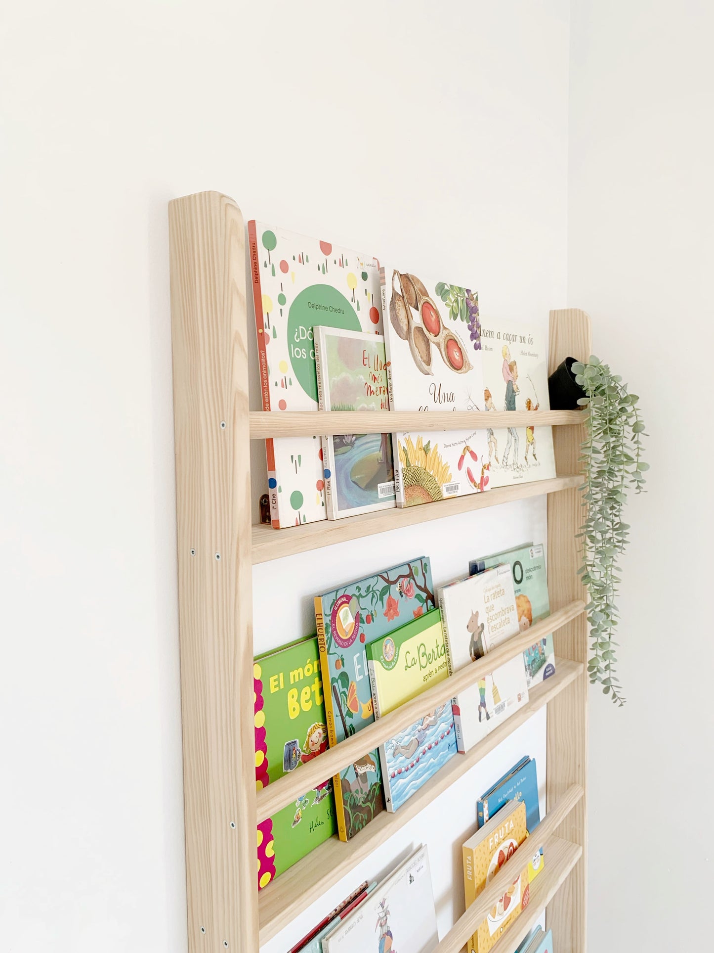 Lisa montessori bookcase